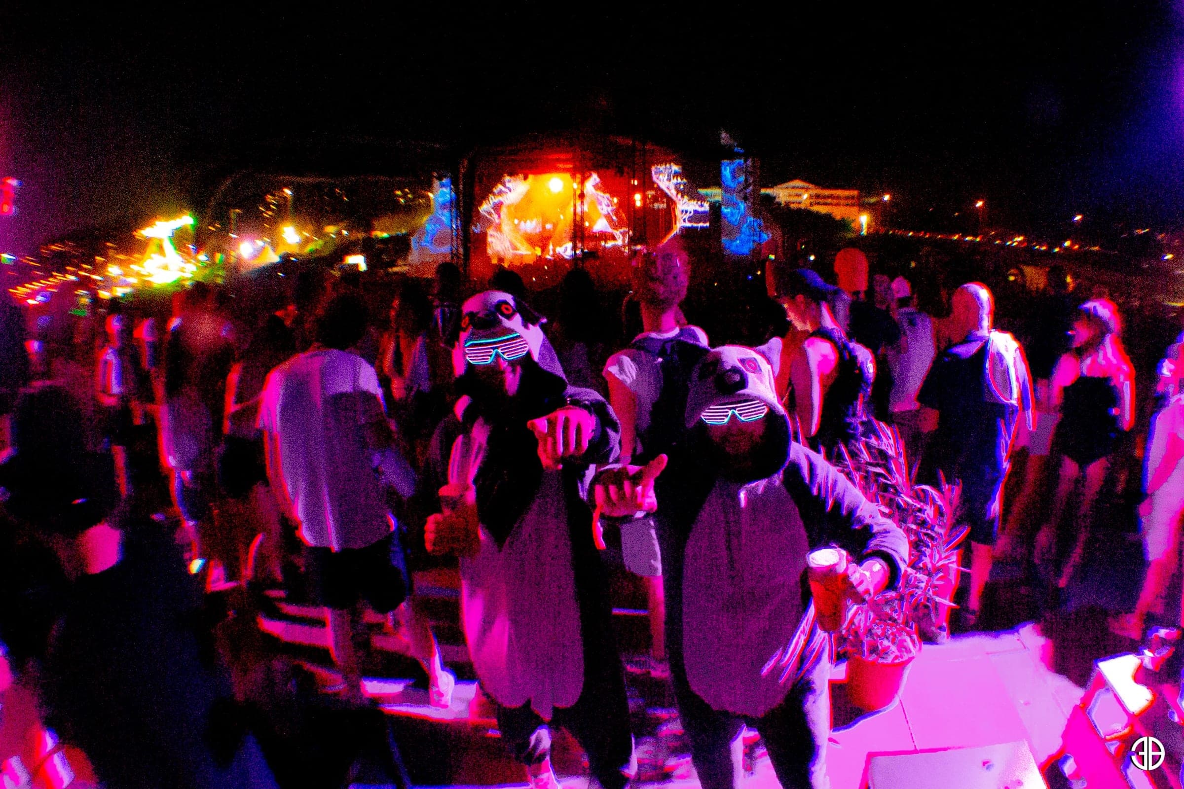 Delta Festival — Festivaliers — photo 34