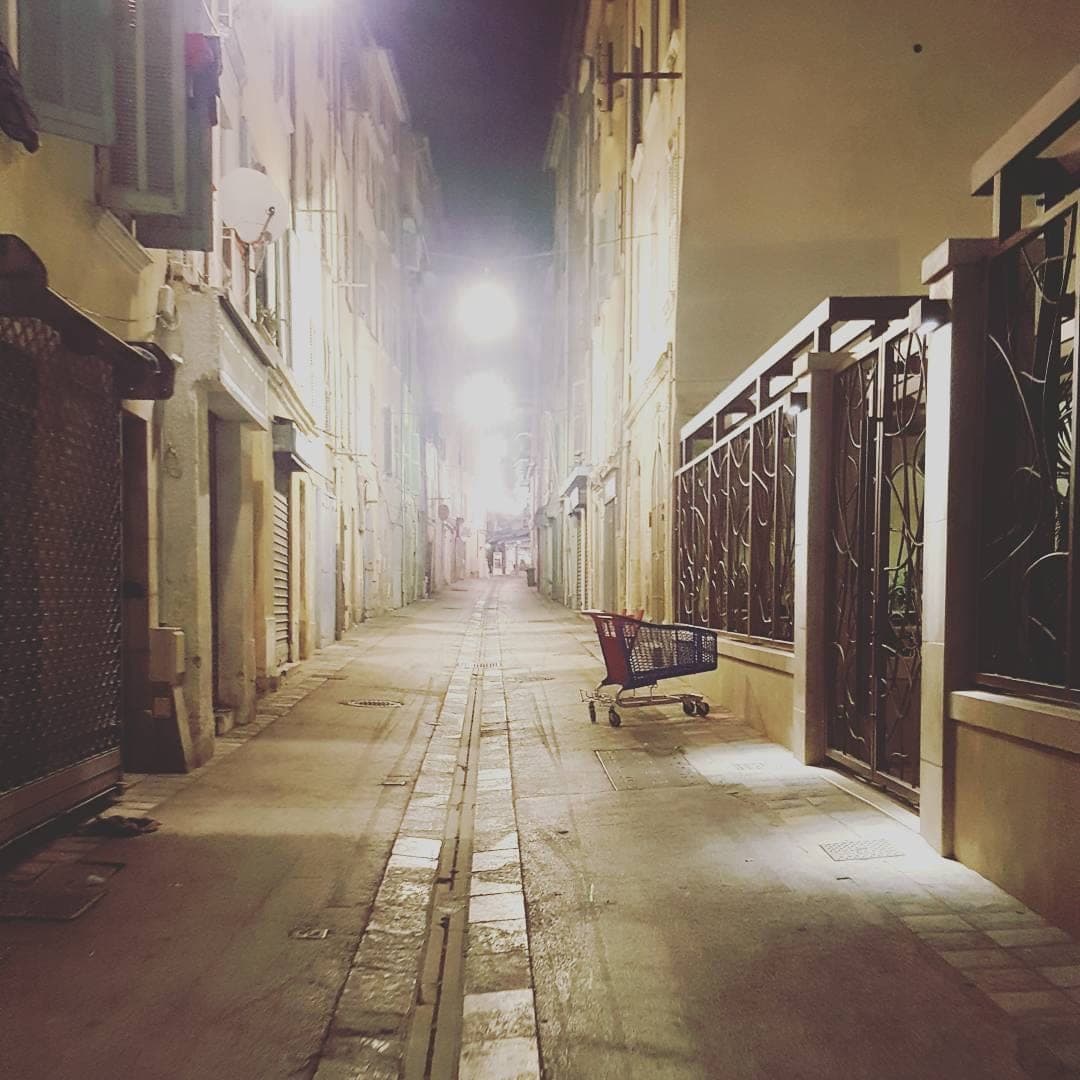 Quand le cadis sort en fin de soirée c'est le meilleur moment de l'année