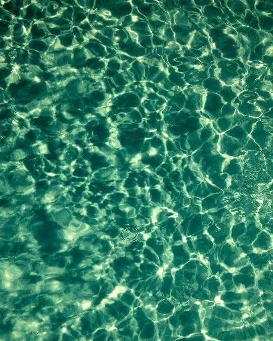 Instagram, 16 novembre 2016