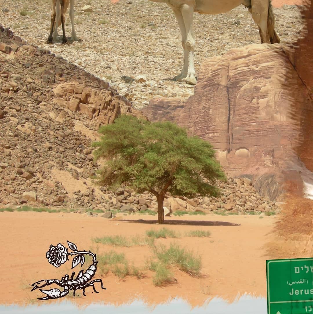 Travel in 6/9 🌍🌅✈📸🇯🇴🐪